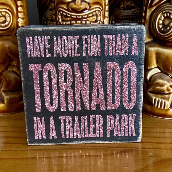 Have More Fun than a Tornado in a Trailer Park - Pink Glitter - Picture 11 of 11